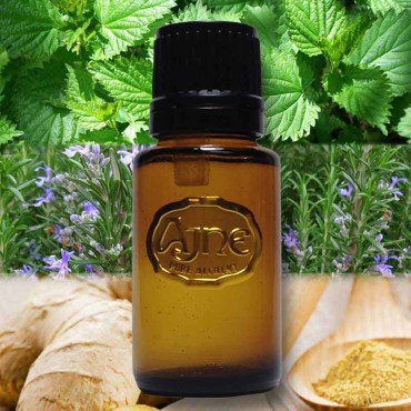 Energize - Diffuser Aroma