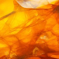 Amber Amber