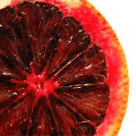 Citrus - Fresh Citrus - Fresh