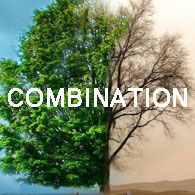 Combination Skin Types (6)