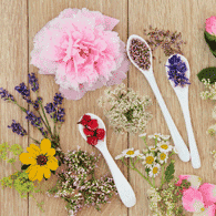 Natural Perfume Natural Perfume